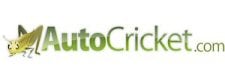 Auto Cricket